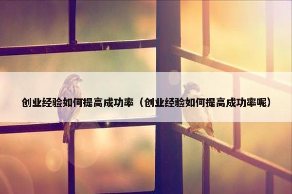 创业经验如何提高成功率（创业经验如何提高成功率呢）