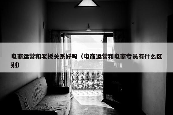 电商运营和老板关系好吗（电商运营和电商专员有什么区别）