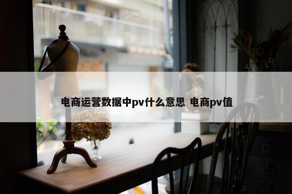 电商运营数据中pv什么意思 电商pv值