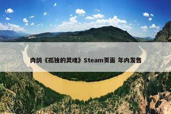 肉鸽《孤独的灵魂》Steam页面 年内发售