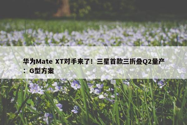 华为Mate XT对手来了！三星首款三折叠Q2量产：G型方案