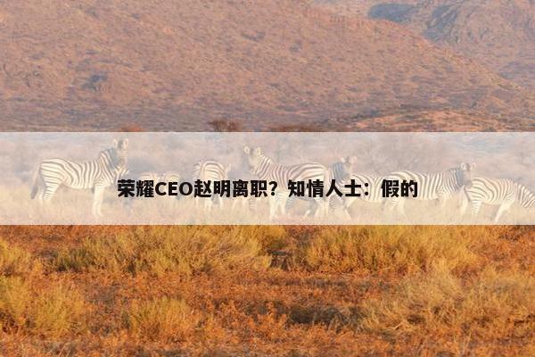 荣耀CEO赵明离职？知情人士：假的