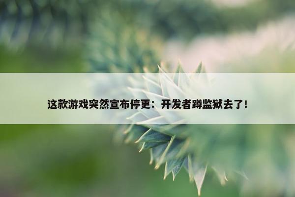 这款游戏突然宣布停更：开发者蹲监狱去了！