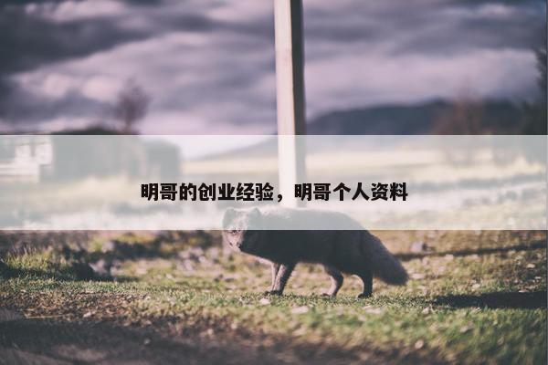 明哥的创业经验，明哥个人资料