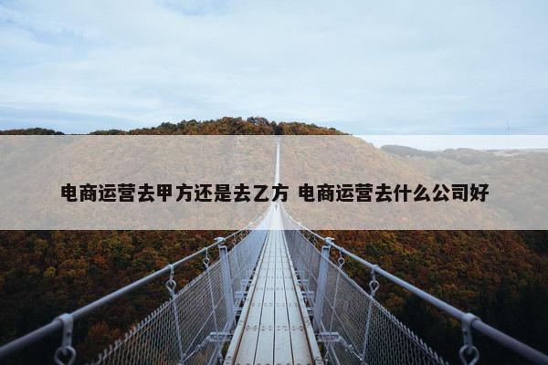 电商运营去甲方还是去乙方 电商运营去什么公司好