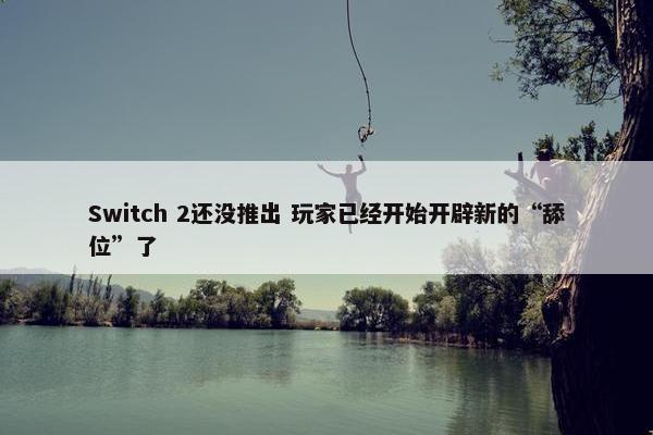 Switch 2还没推出 玩家已经开始开辟新的“舔位”了