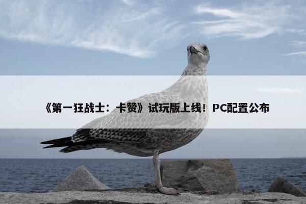 《第一狂战士：卡赞》试玩版上线！PC配置公布