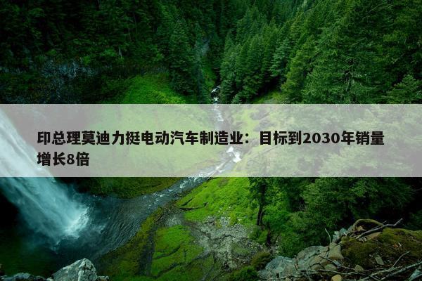 印总理莫迪力挺电动汽车制造业：目标到2030年销量增长8倍