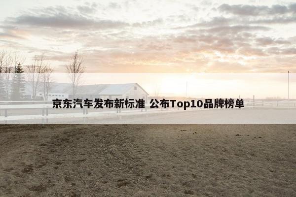 京东汽车发布新标准 公布Top10品牌榜单