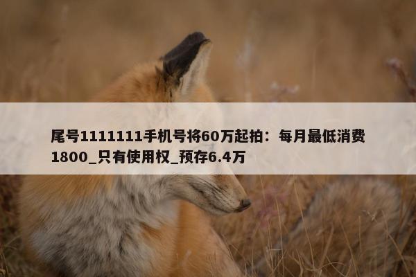 尾号1111111手机号将60万起拍：每月最低消费1800_只有使用权_预存6.4万