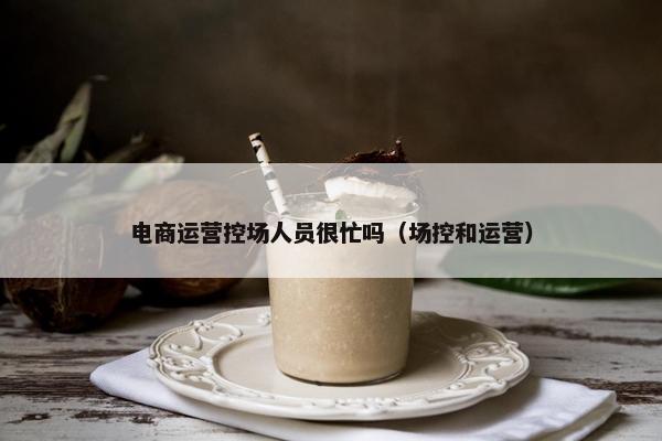 电商运营控场人员很忙吗（场控和运营）