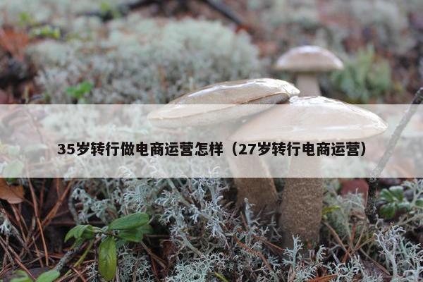 35岁转行做电商运营怎样（27岁转行电商运营）