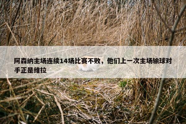 阿森纳主场连续14场比赛不败，他们上一次主场输球对手正是维拉