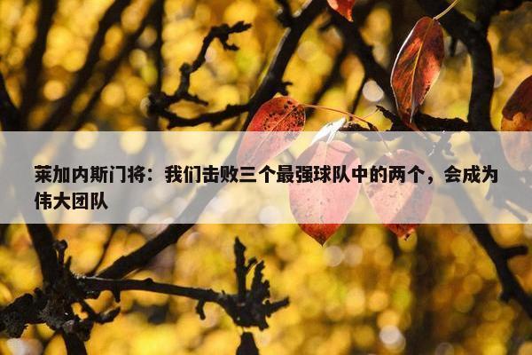 莱加内斯门将：我们击败三个最强球队中的两个，会成为伟大团队