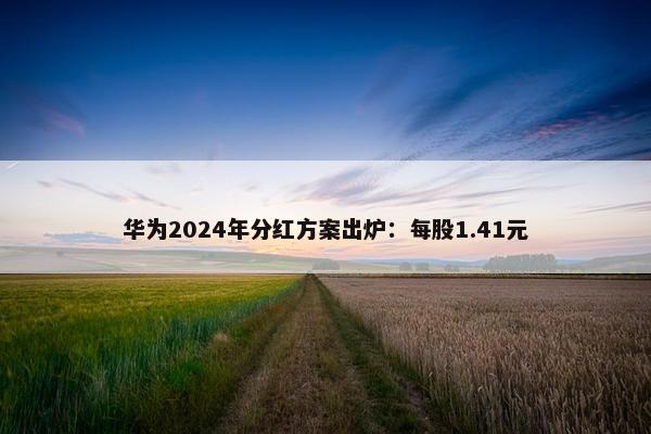 华为2024年分红方案出炉：每股1.41元