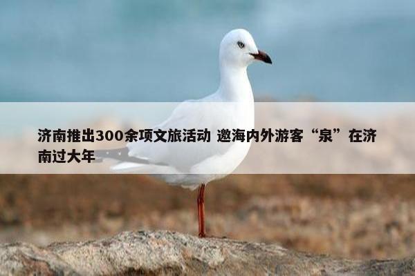 济南推出300余项文旅活动 邀海内外游客“泉”在济南过大年