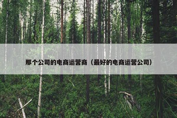 那个公司的电商运营商（最好的电商运营公司）