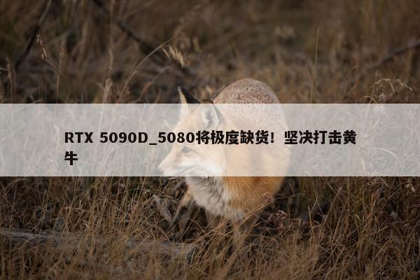 RTX 5090D_5080将极度缺货！坚决打击黄牛