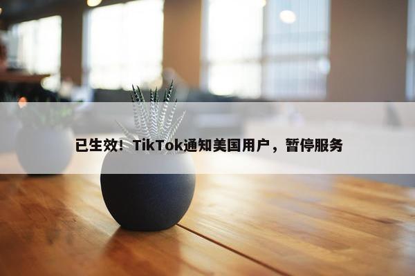 已生效！TikTok通知美国用户，暂停服务