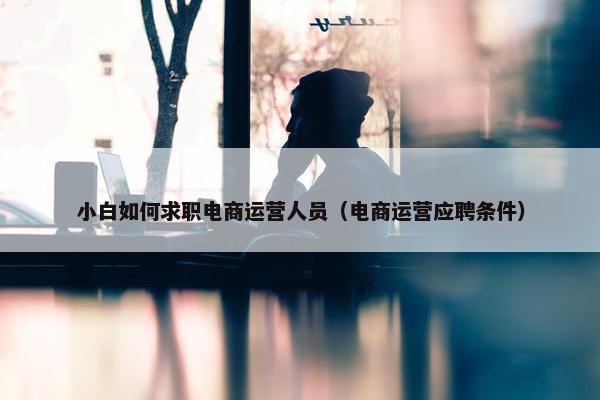 小白如何求职电商运营人员（电商运营应聘条件）