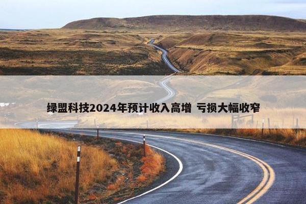 绿盟科技2024年预计收入高增 亏损大幅收窄