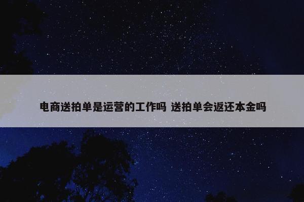 电商送拍单是运营的工作吗 送拍单会返还本金吗