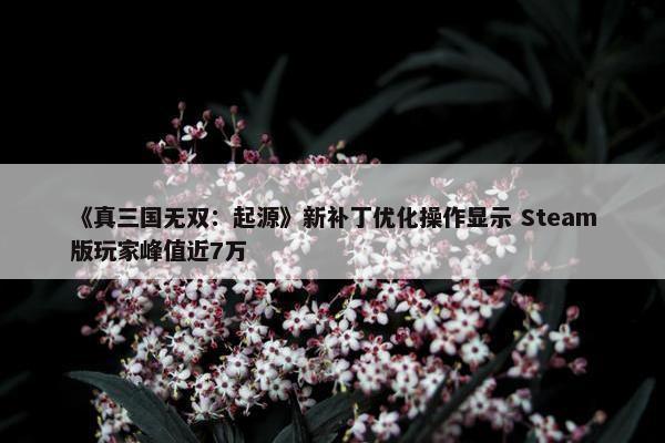 《真三国无双：起源》新补丁优化操作显示 Steam版玩家峰值近7万