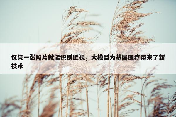 仅凭一张照片就能识别近视，大模型为基层医疗带来了新技术