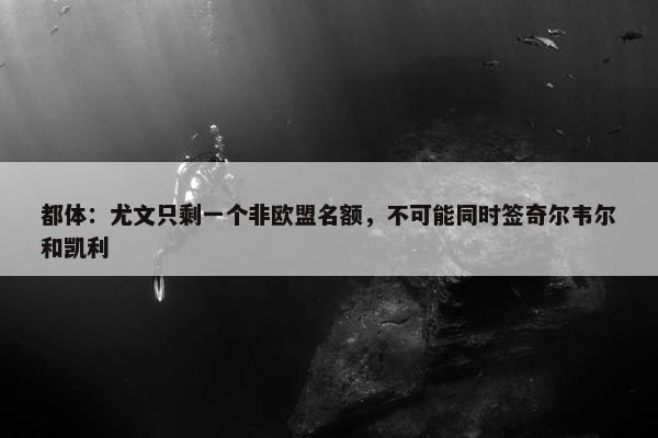 都体：尤文只剩一个非欧盟名额，不可能同时签奇尔韦尔和凯利