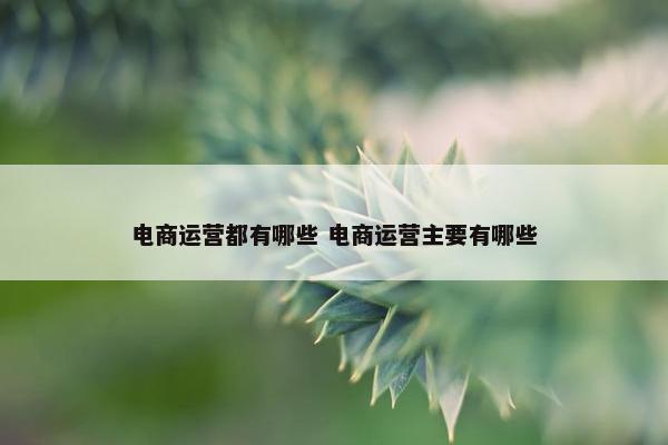 电商运营都有哪些 电商运营主要有哪些