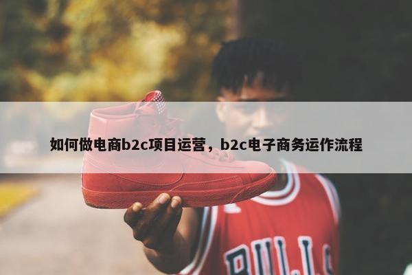 如何做电商b2c项目运营，b2c电子商务运作流程