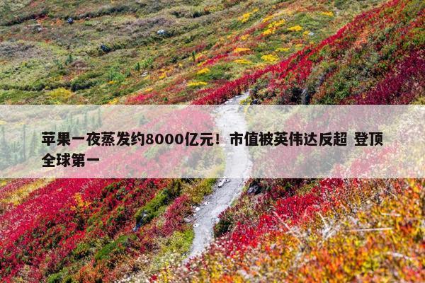 苹果一夜蒸发约8000亿元！市值被英伟达反超 登顶全球第一