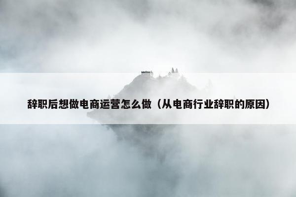 辞职后想做电商运营怎么做（从电商行业辞职的原因）