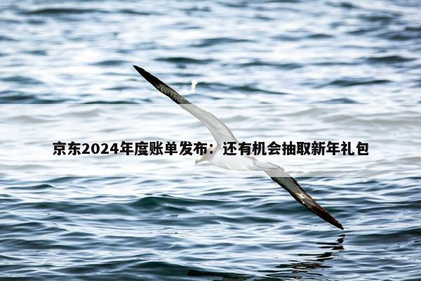 京东2024年度账单发布：还有机会抽取新年礼包