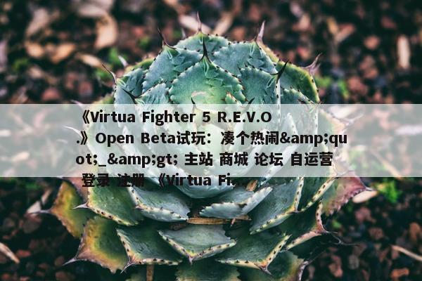 《Virtua Fighter 5 R.E.V.O.》Open Beta试玩：凑个热闹&quot;_&gt; 主站 商城 论坛 自运营 登录 注册 《Virtua Fi...