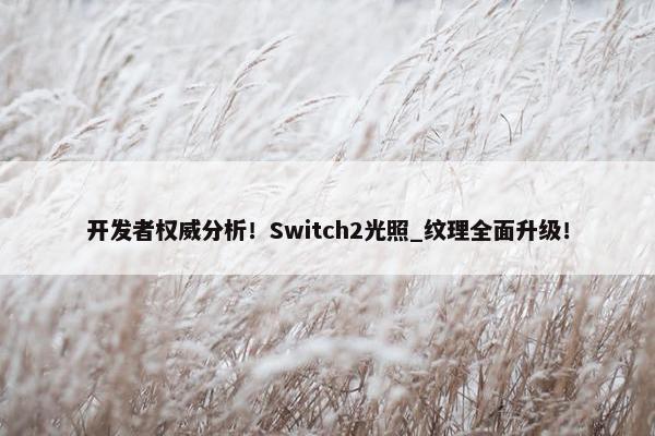 开发者权威分析！Switch2光照_纹理全面升级！