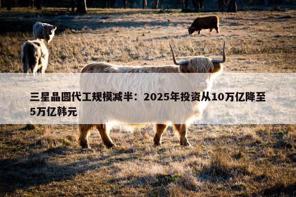 三星晶圆代工规模减半：2025年投资从10万亿降至5万亿韩元