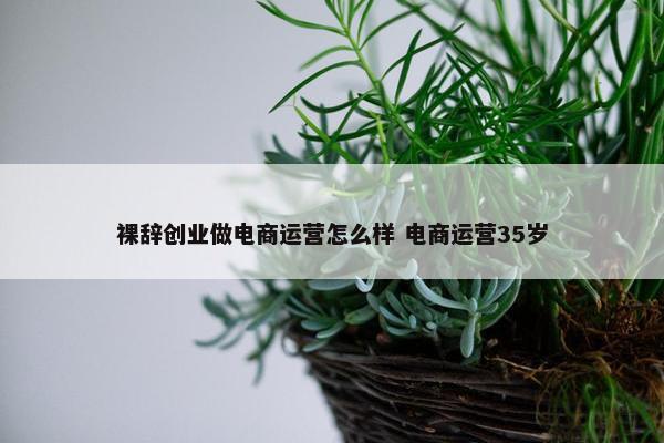 裸辞创业做电商运营怎么样 电商运营35岁