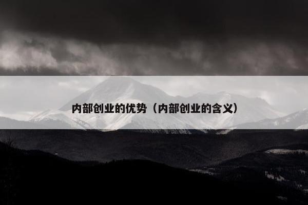 内部创业的优势（内部创业的含义）