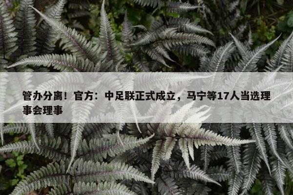 管办分离！官方：中足联正式成立，马宁等17人当选理事会理事