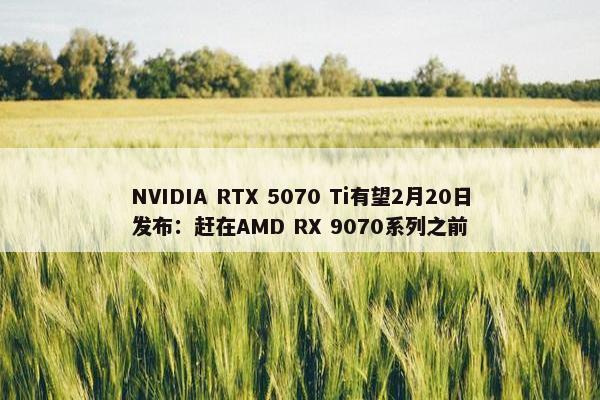 NVIDIA RTX 5070 Ti有望2月20日发布：赶在AMD RX 9070系列之前