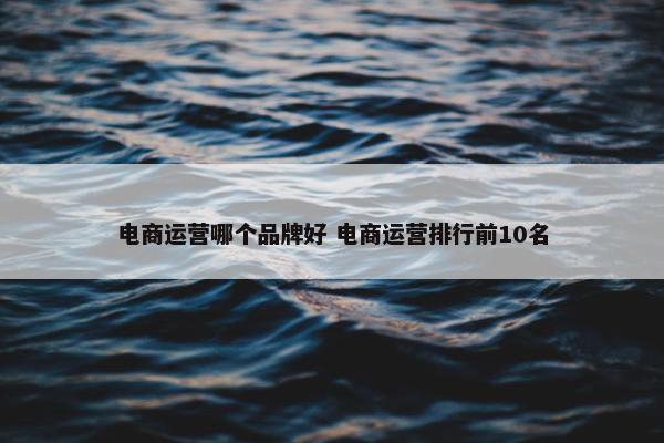 电商运营哪个品牌好 电商运营排行前10名