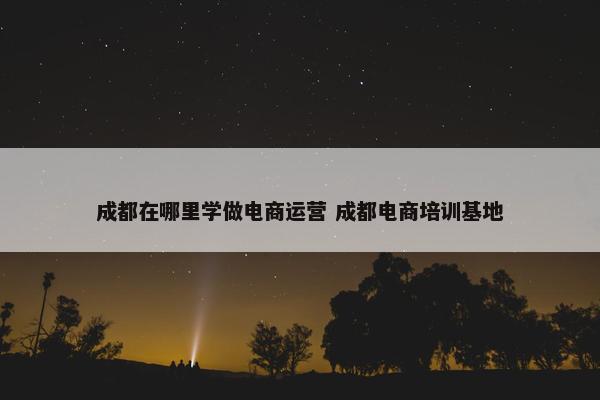 成都在哪里学做电商运营 成都电商培训基地