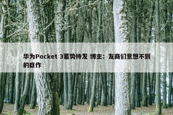 华为Pocket 3蓄势待发 博主：友商们意想不到的巨作