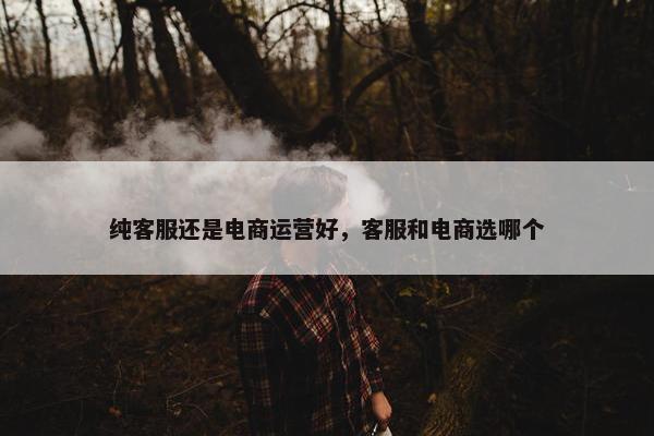 纯客服还是电商运营好，客服和电商选哪个