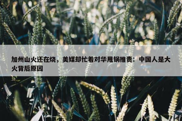 加州山火还在烧，美媒却忙着对华甩锅推责：中国人是大火背后原因