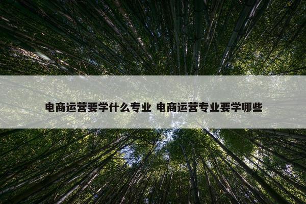 电商运营要学什么专业 电商运营专业要学哪些