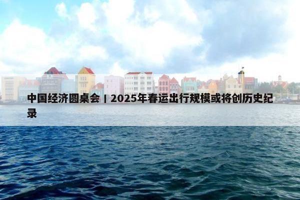 中国经济圆桌会丨2025年春运出行规模或将创历史纪录