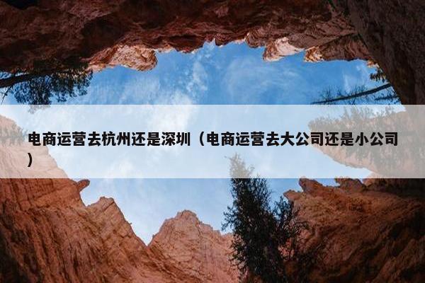 电商运营去杭州还是深圳（电商运营去大公司还是小公司）