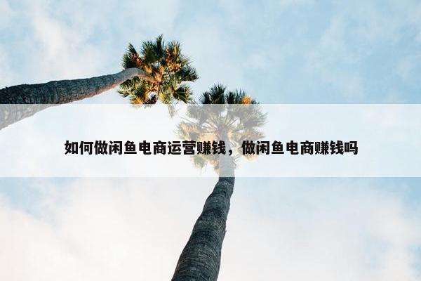 如何做闲鱼电商运营赚钱，做闲鱼电商赚钱吗